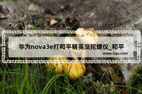 华为nova3e打和平精英没陀螺仪_和平精英谁生日