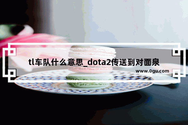 tl车队什么意思_dota2传送到对面泉水的指令