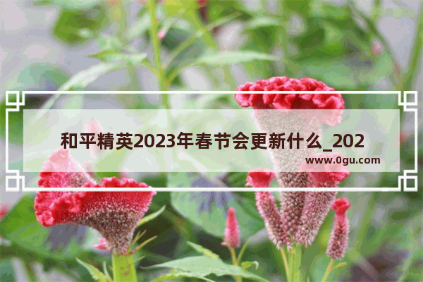 和平精英2023年春节会更新什么_2021寒假和平精英 有防沉迷系统吗