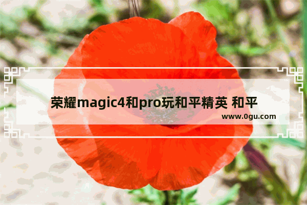 荣耀magic4和pro玩和平精英 和平精英长安大学