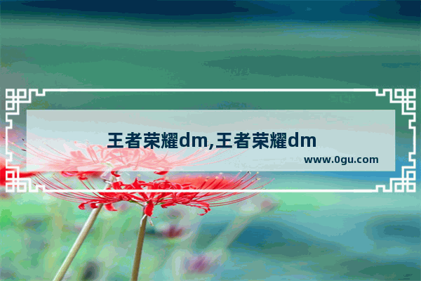 王者荣耀dm,王者荣耀dm