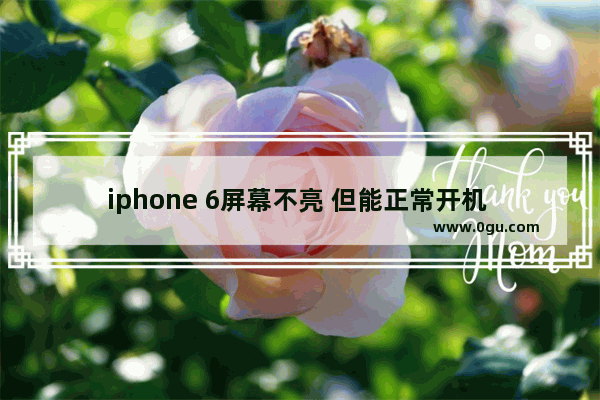 iphone 6屏幕不亮 但能正常开机 触屏正常是怎么回事_苹果零下6摄氏度能冻吗