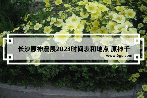 长沙原神漫展2023时间表和地点 原神千叶攻略