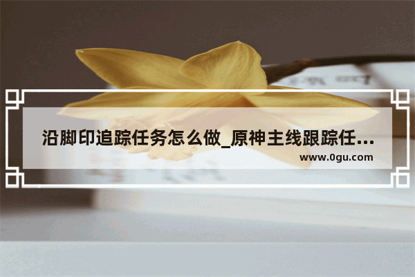 沿脚印追踪任务怎么做_原神主线跟踪任务如何完成