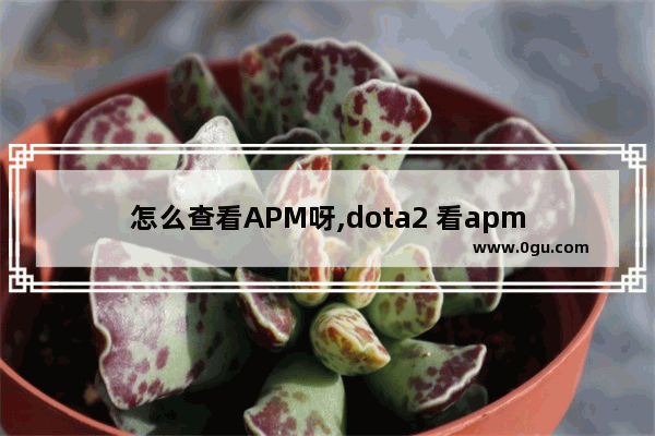 怎么查看APM呀,dota2 看apm