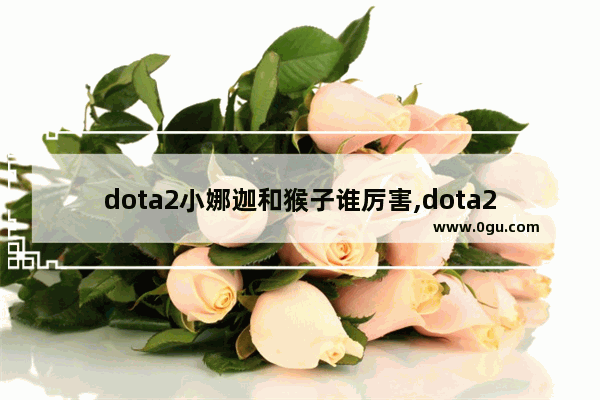 dota2小娜迦和猴子谁厉害,dota2猴子打架