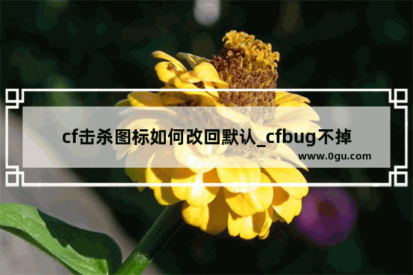 cf击杀图标如何改回默认_cfbug不掉血文件怎么用