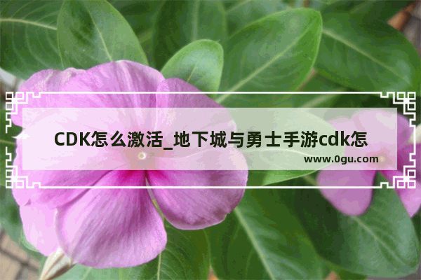 CDK怎么激活_地下城与勇士手游cdk怎么兑换