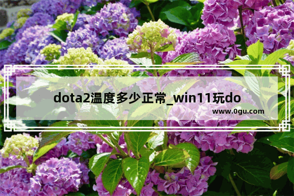 dota2温度多少正常_win11玩dota闪退解决方法