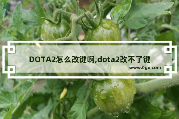 DOTA2怎么改键啊,dota2改不了键