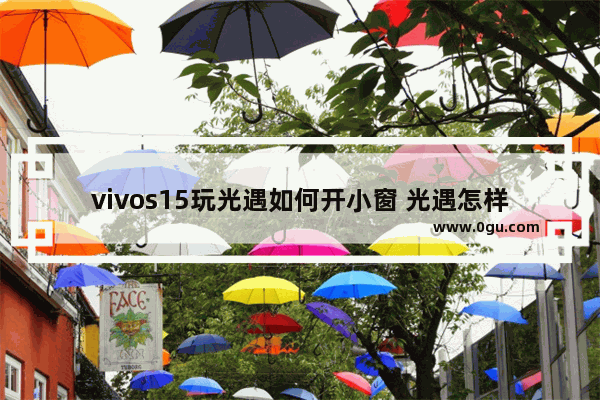 vivos15玩光遇如何开小窗 光遇怎样小窗显示