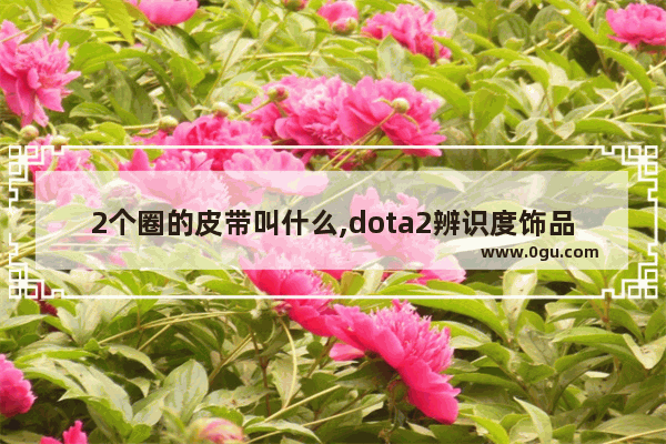 2个圈的皮带叫什么,dota2辨识度饰品