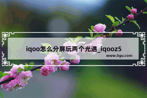 iqoo怎么分屏玩两个光遇_iqooz5手机光遇如何++