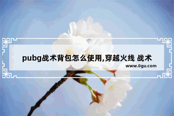 pubg战术背包怎么使用,穿越火线 战术背包