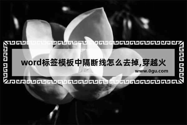 word标签模板中隔断线怎么去掉,穿越火线边框掉线