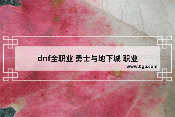 dnf全职业 勇士与地下城 职业