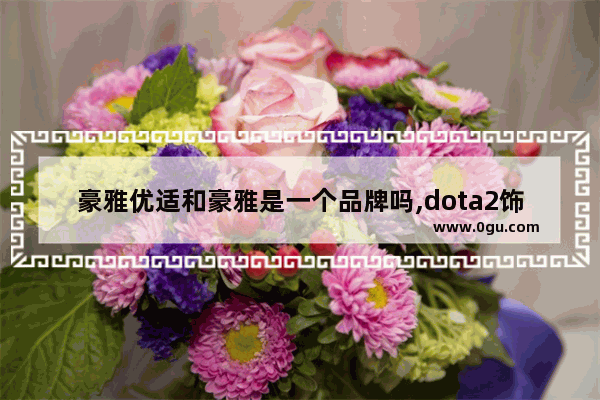 豪雅优适和豪雅是一个品牌吗,dota2饰品vp