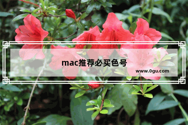 mac推荐必买色号