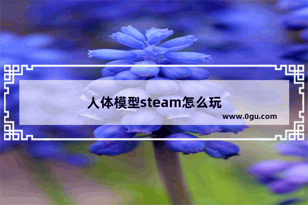 人体模型steam怎么玩