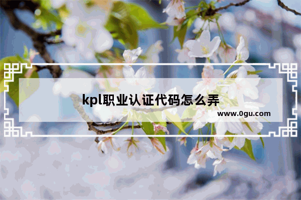 kpl职业认证代码怎么弄