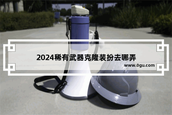 2024稀有武器克隆装扮去哪弄