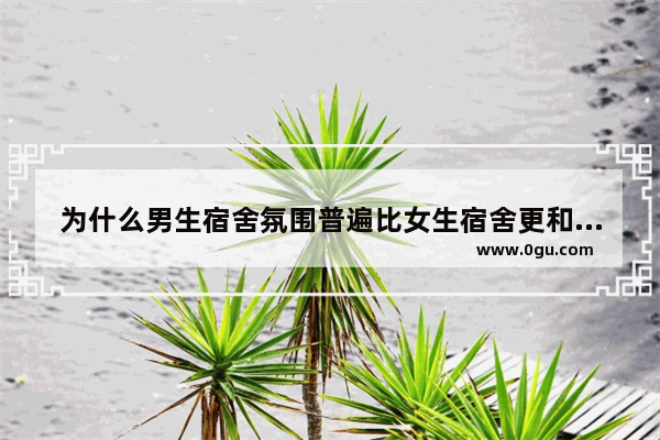 为什么男生宿舍氛围普遍比女生宿舍更和睦、和谐