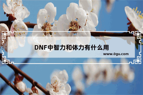 DNF中智力和体力有什么用