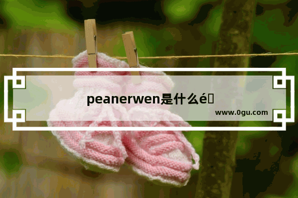 peanerwen是什么钢琴