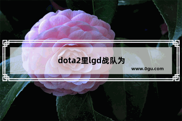 dota2里lgd战队为什么会有“不可战胜”这个梗