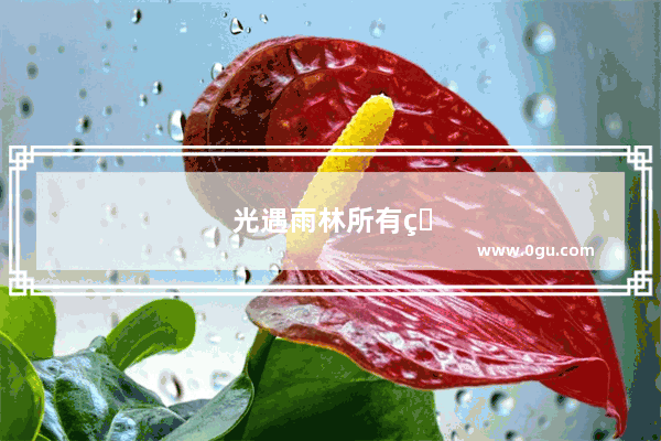 光遇雨林所有烛火先祖和光翼的位置