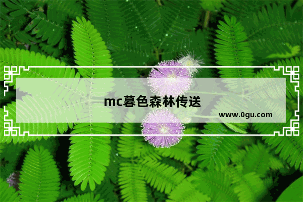 mc暮色森林传送门怎么做