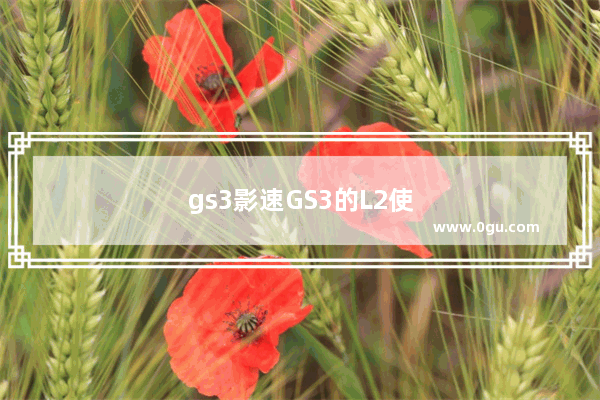 gs3影速GS3的L2使用说明