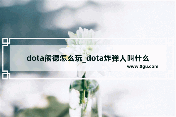 dota熊德怎么玩_dota炸弹人叫什么