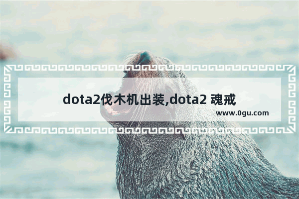 dota2伐木机出装,dota2 魂戒