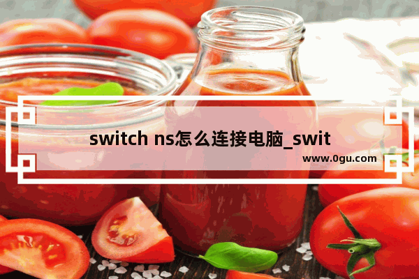 switch ns怎么连接电脑_switch怎么加电脑好友