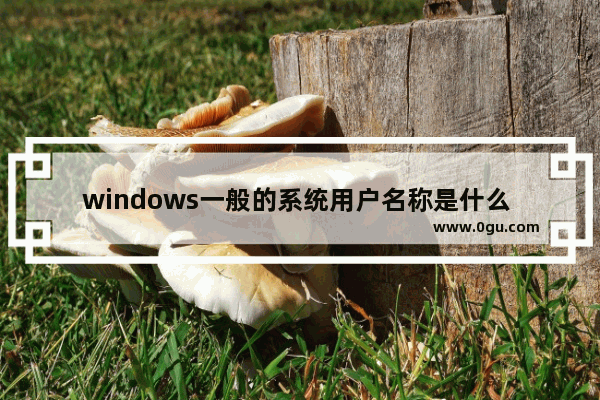 windows一般的系统用户名称是什么 win10电脑用户名