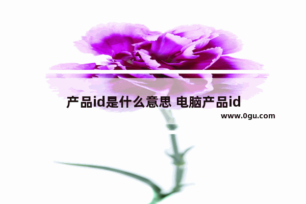 产品id是什么意思 电脑产品id