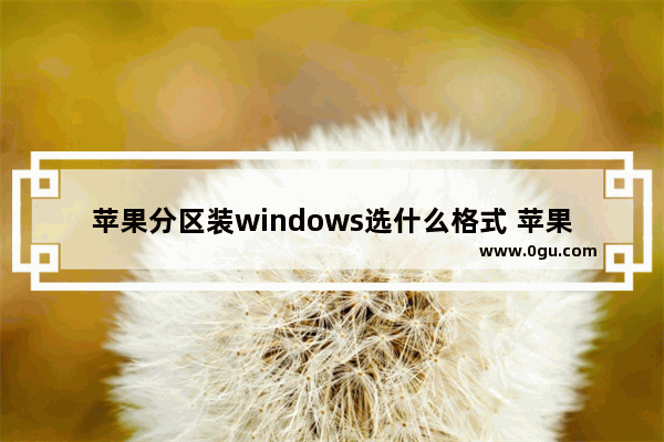 苹果分区装windows选什么格式 苹果电脑u盘格式