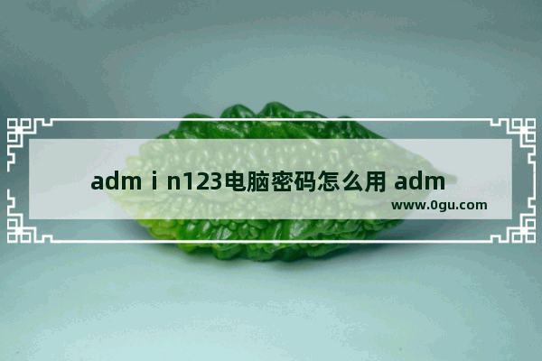 admⅰn123电脑密码怎么用 adm 电脑