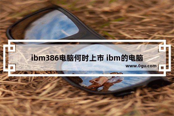 ibm386电脑何时上市 ibm的电脑