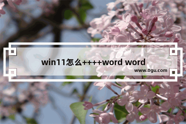 win11怎么++++word word文档电脑版