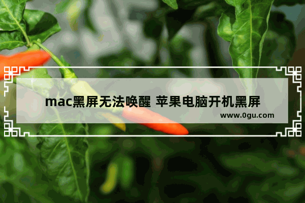 mac黑屏无法唤醒 苹果电脑开机黑屏