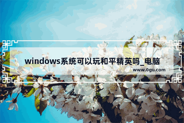 windows系统可以玩和平精英吗_电脑玩和平精英好还是绝地求生好