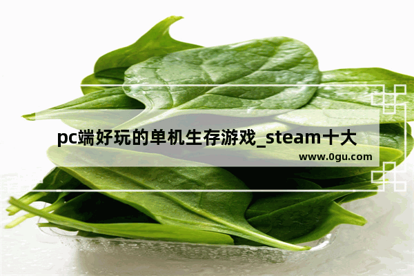 pc端好玩的单机生存游戏_steam十大生存类单机游戏