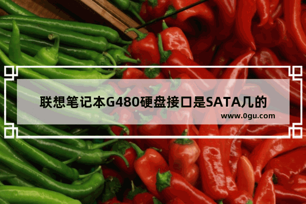 联想笔记本G480硬盘接口是SATA几的 联想电脑g480