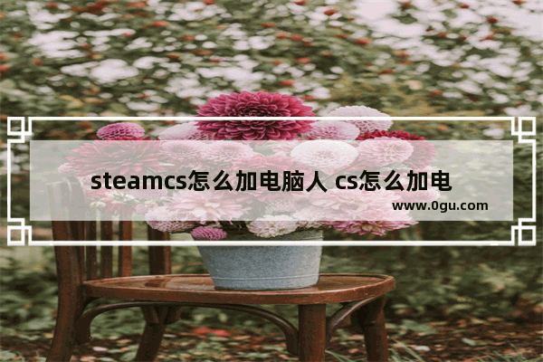 steamcs怎么加电脑人 cs怎么加电脑