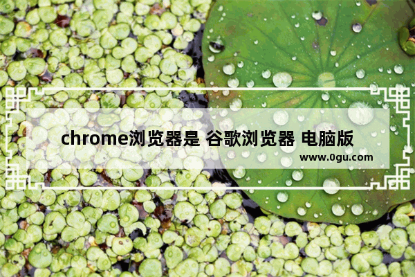 chrome浏览器是 谷歌浏览器 电脑版