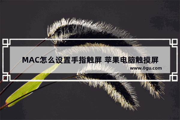 MAC怎么设置手指触屏 苹果电脑触摸屏