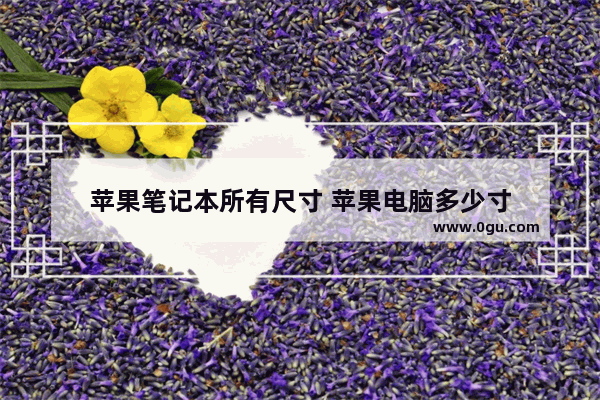 苹果笔记本所有尺寸 苹果电脑多少寸