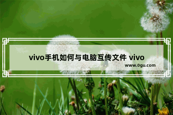 vivo手机如何与电脑互传文件 vivo手机怎么连接电脑